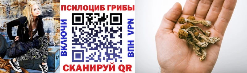 даркнет сайт  Высоцк  Псилоцибиновые грибы мицелий 